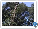 IMG_20170727_123049