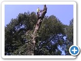 IMG_20170727_123127